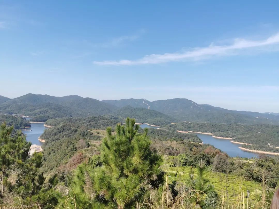 永信贵宾会·(中国)诚信为本！